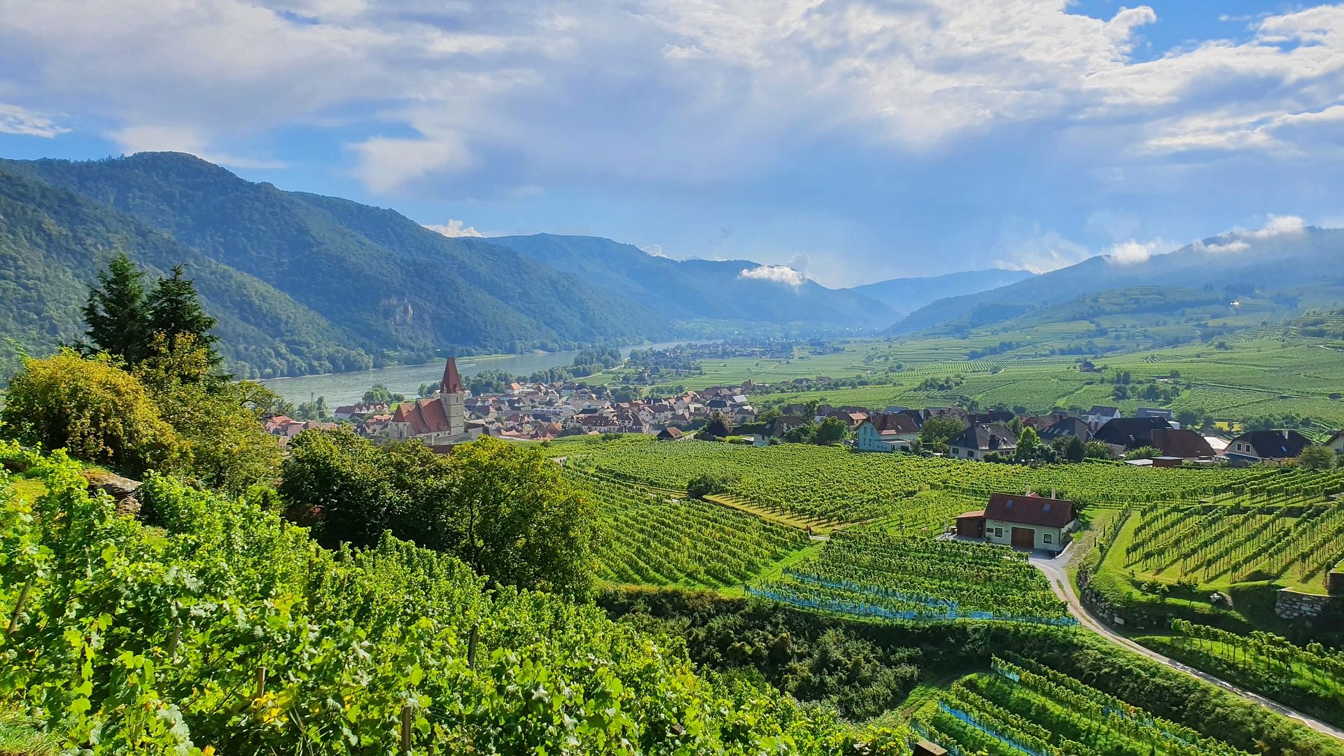 View of the Wachau Valley