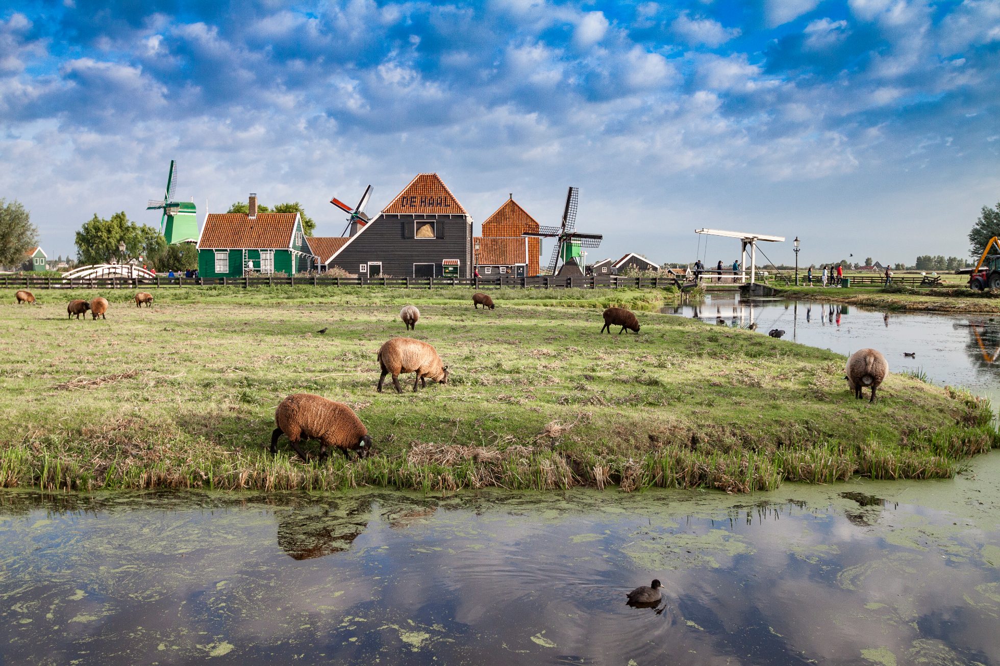 Skansen Zaanse Schans, Holandia