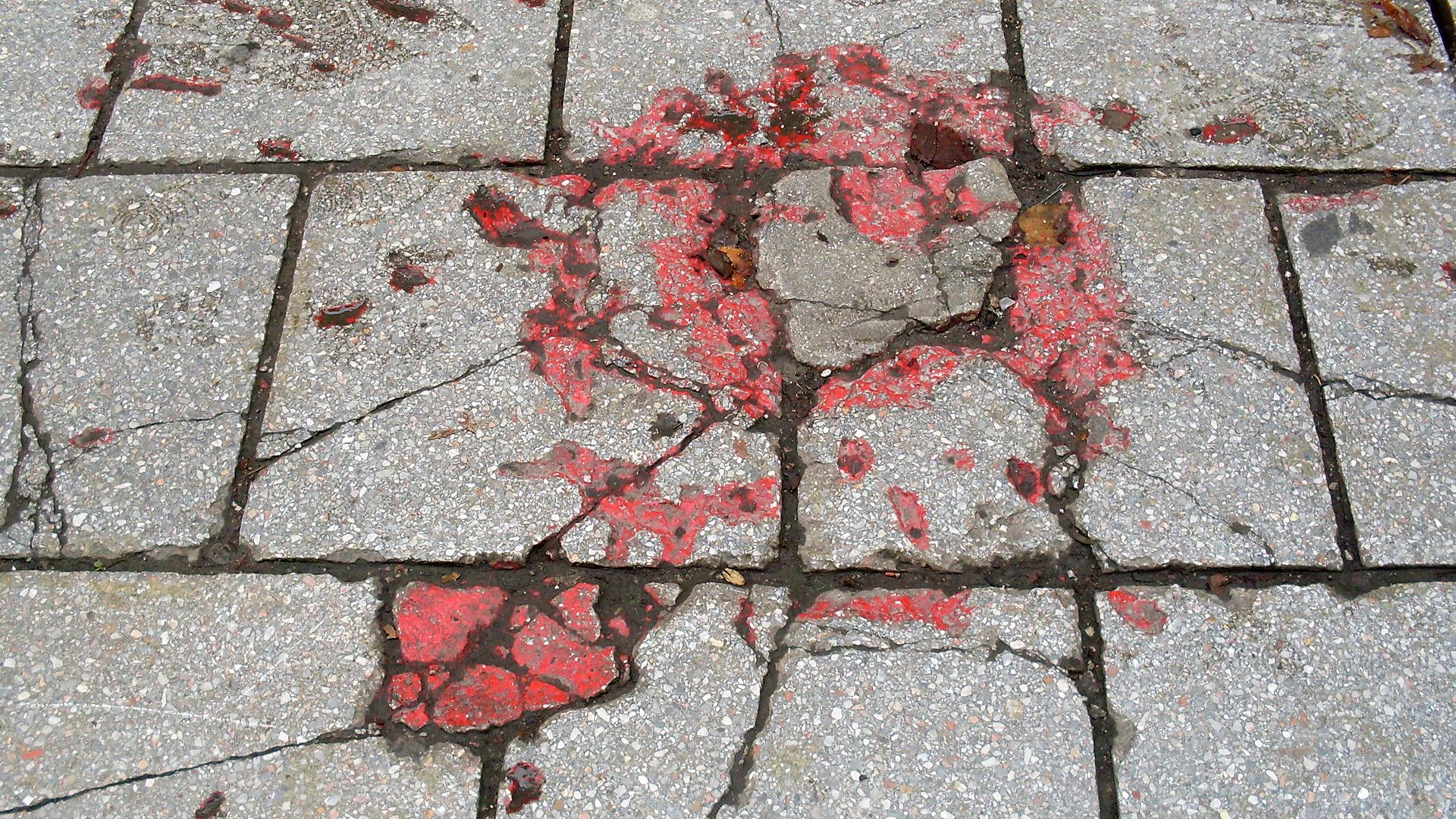 Sarajevo Roses