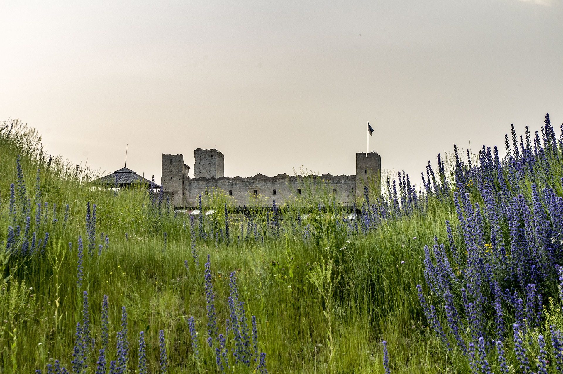 Zamek Rakvere w Estonii
