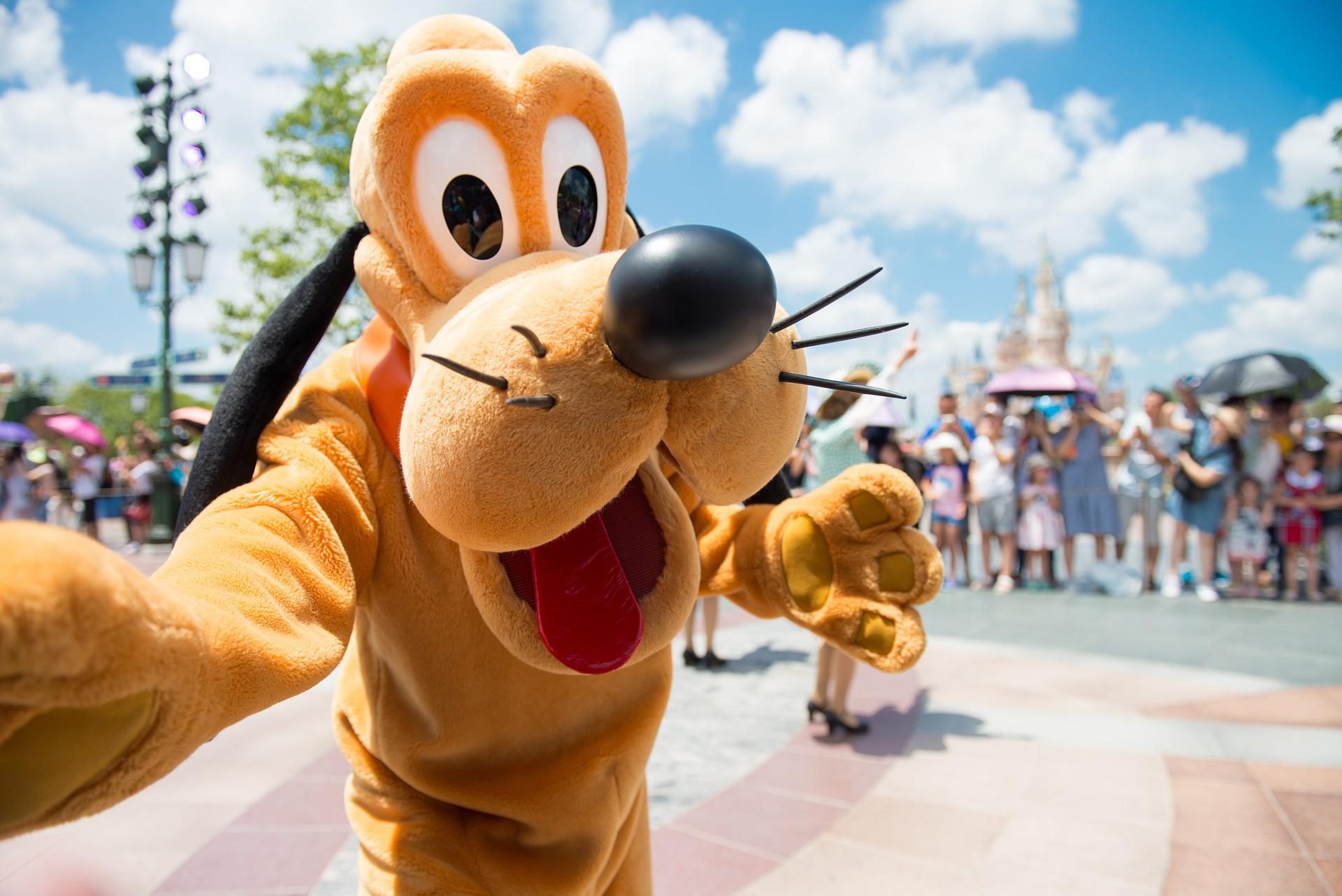 Pies Pluto na tle parku Disneyland w Paryżu