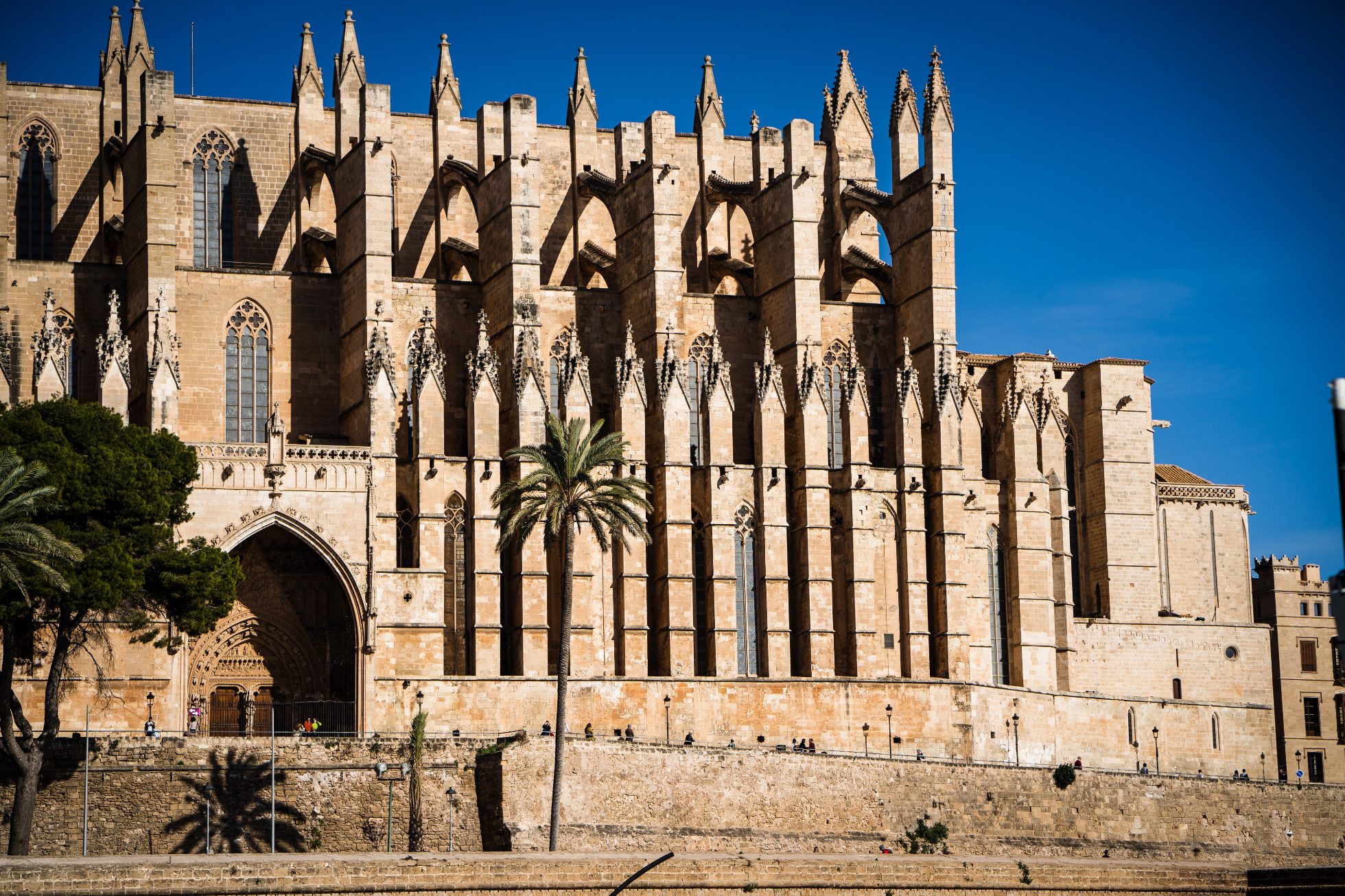 Widok na katedrę w Palma de Mallorca, Majorka, Hiszpania