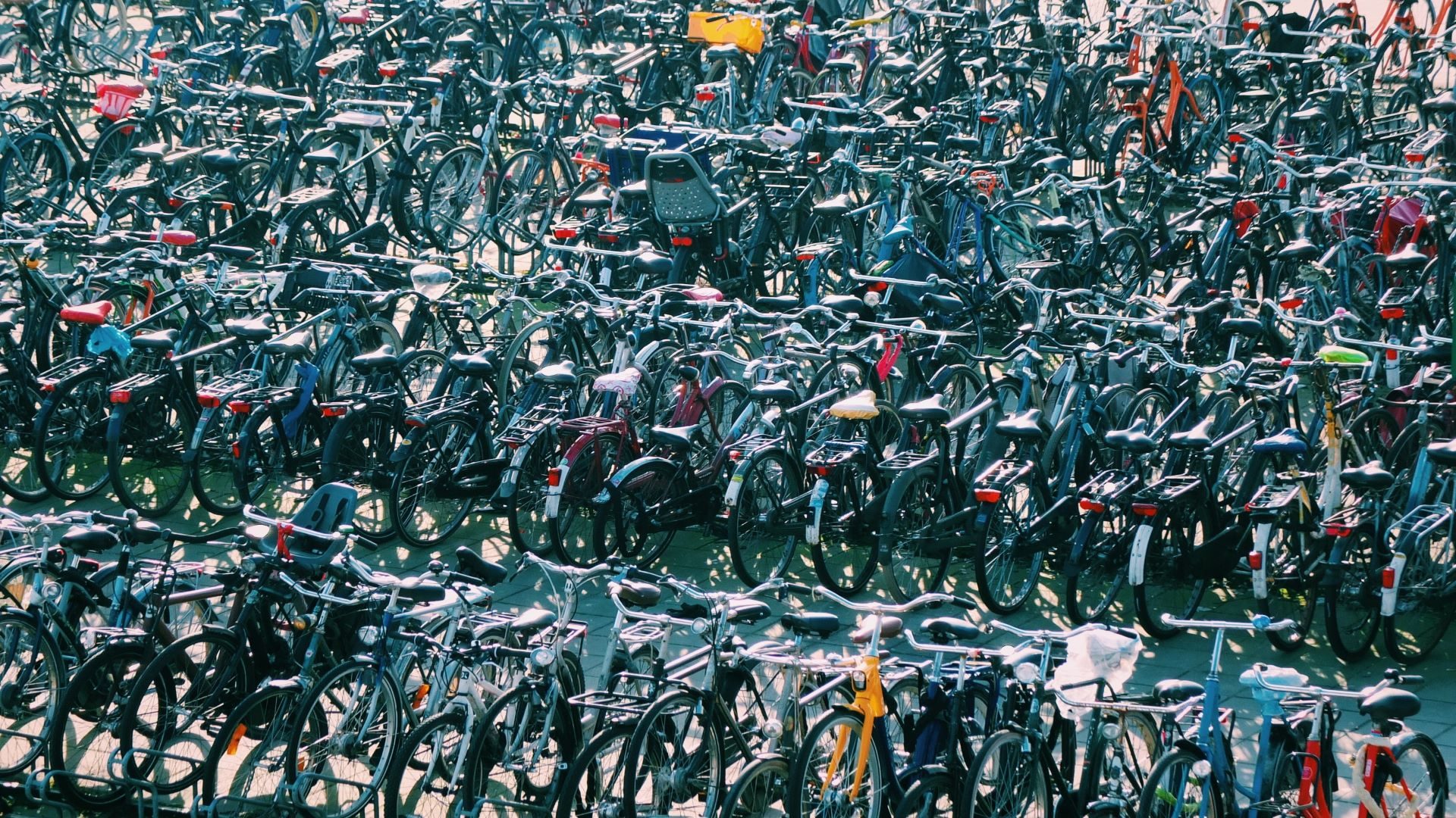 Parking rowerów w Amsterdamie