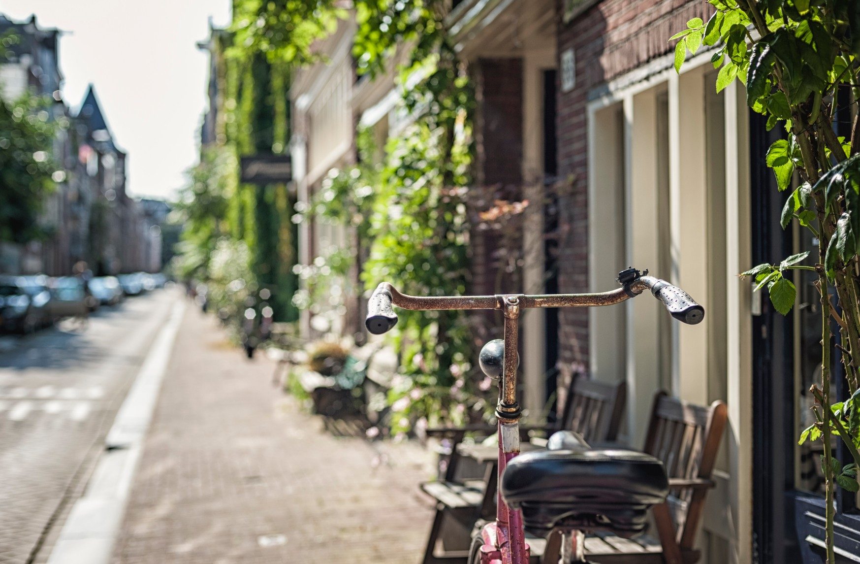 bike on the road