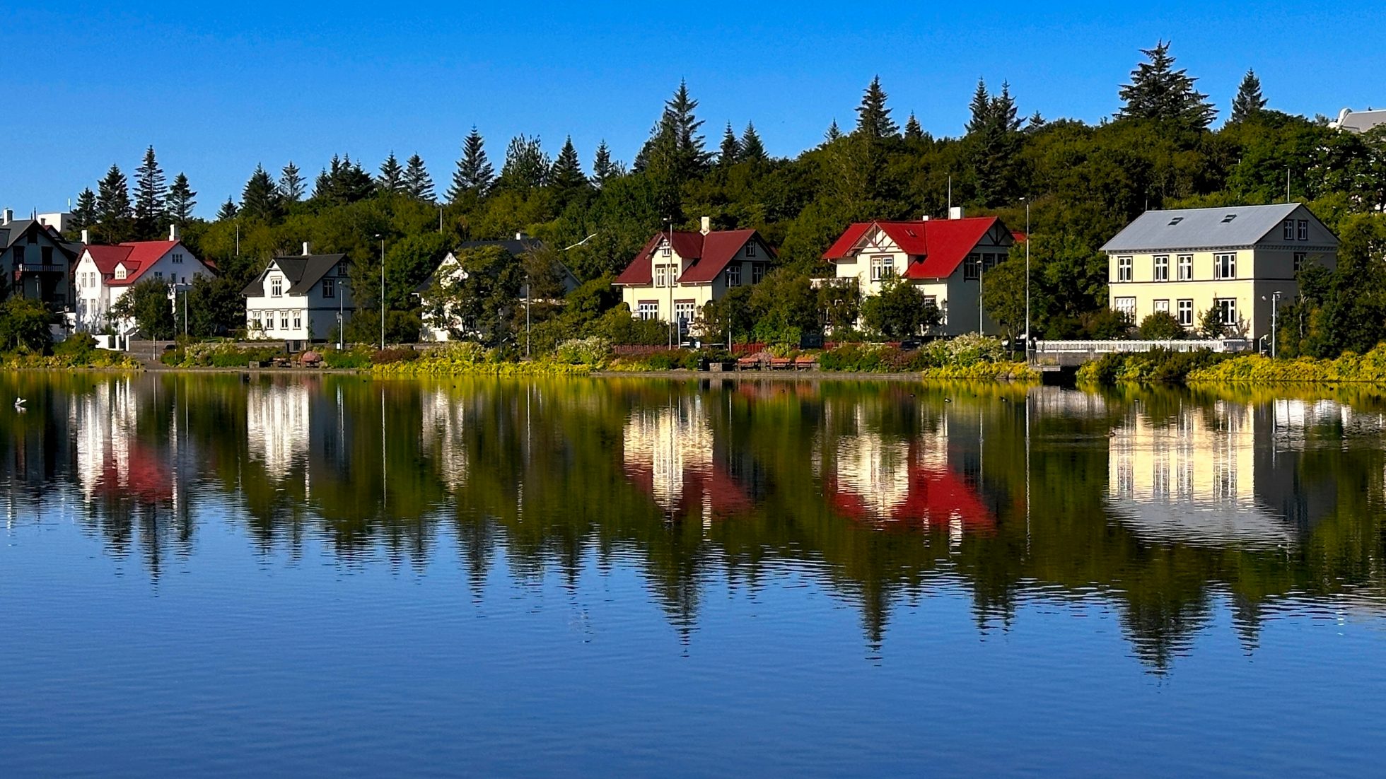 Jezioro Tjörnin w Reykjaviku