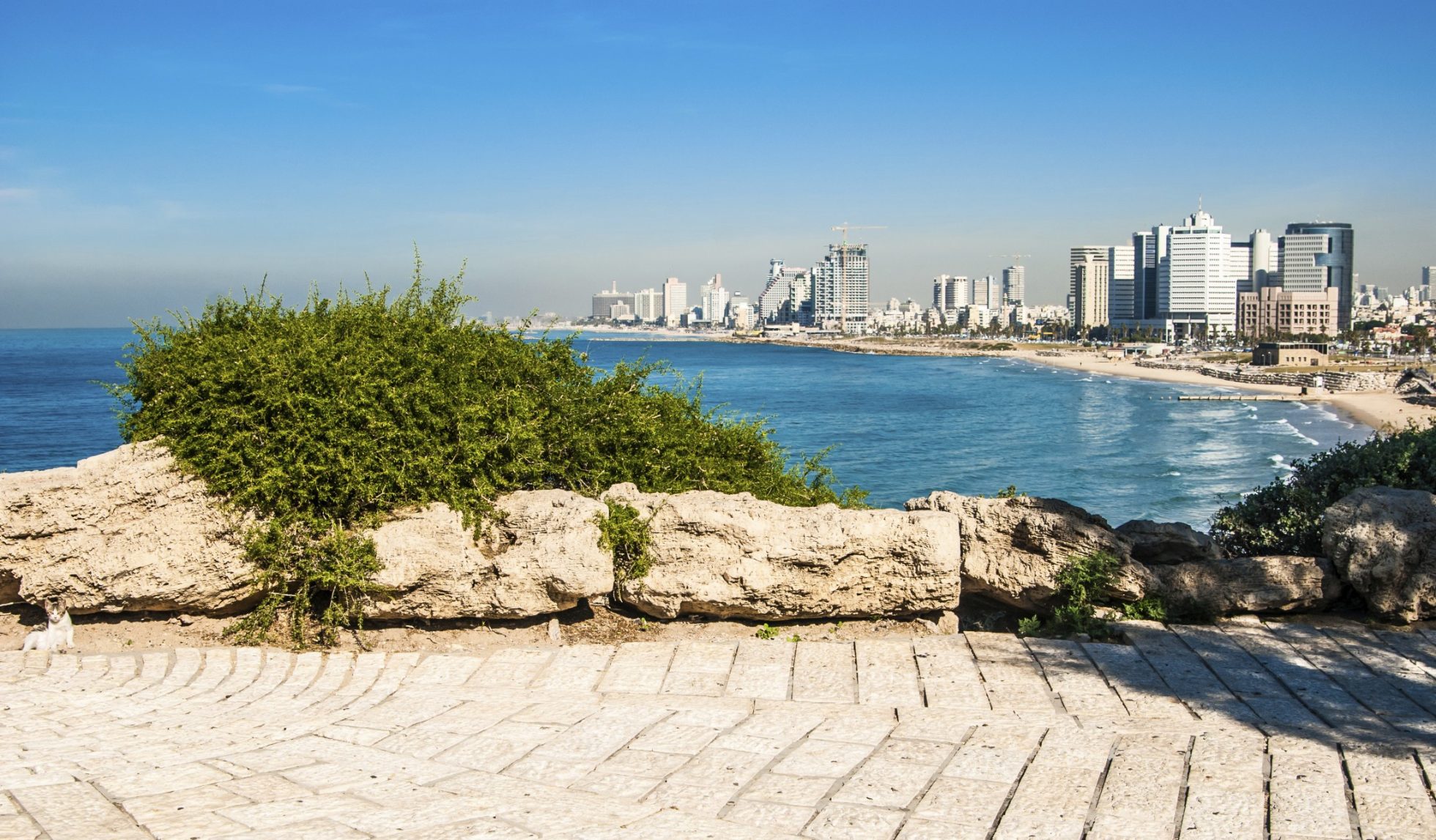 izrael-tel-awiw-odkryj-miasto