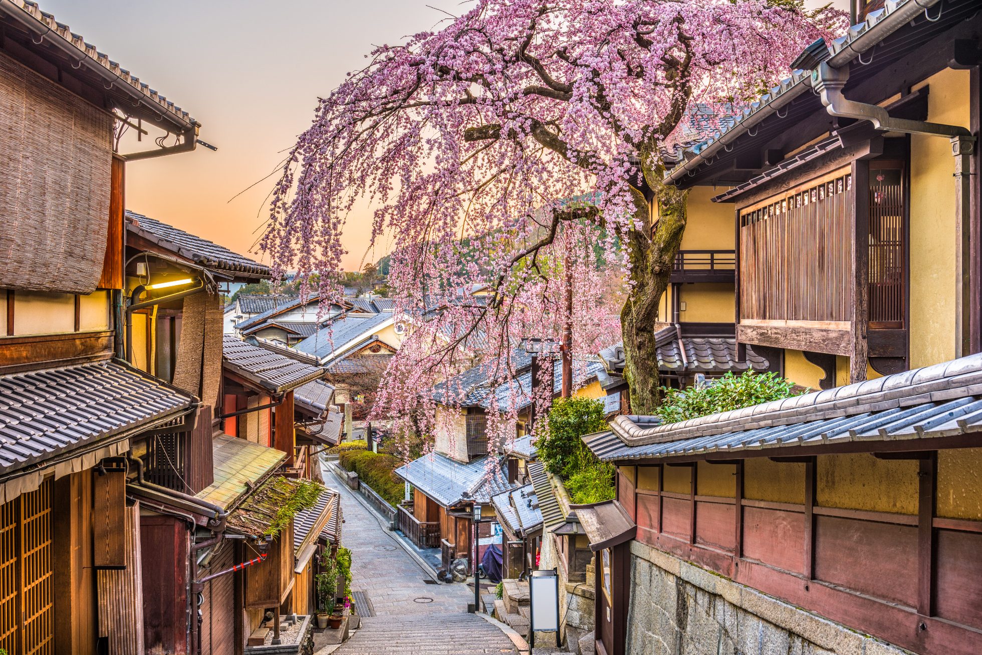 Wiosna w dzielnicy Higashiyama w Kyoto, najpiękniejsze miejsca w Japonii