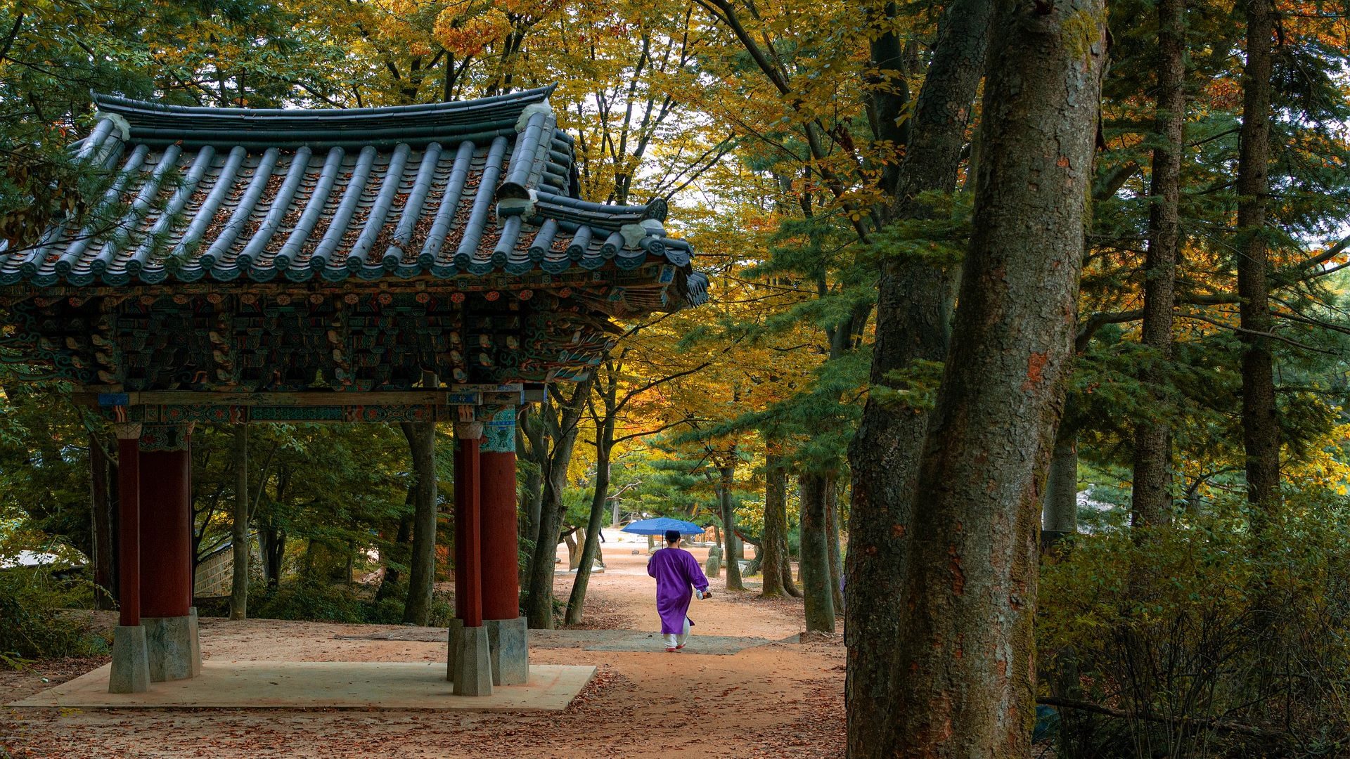 Koreański budynek w lesie