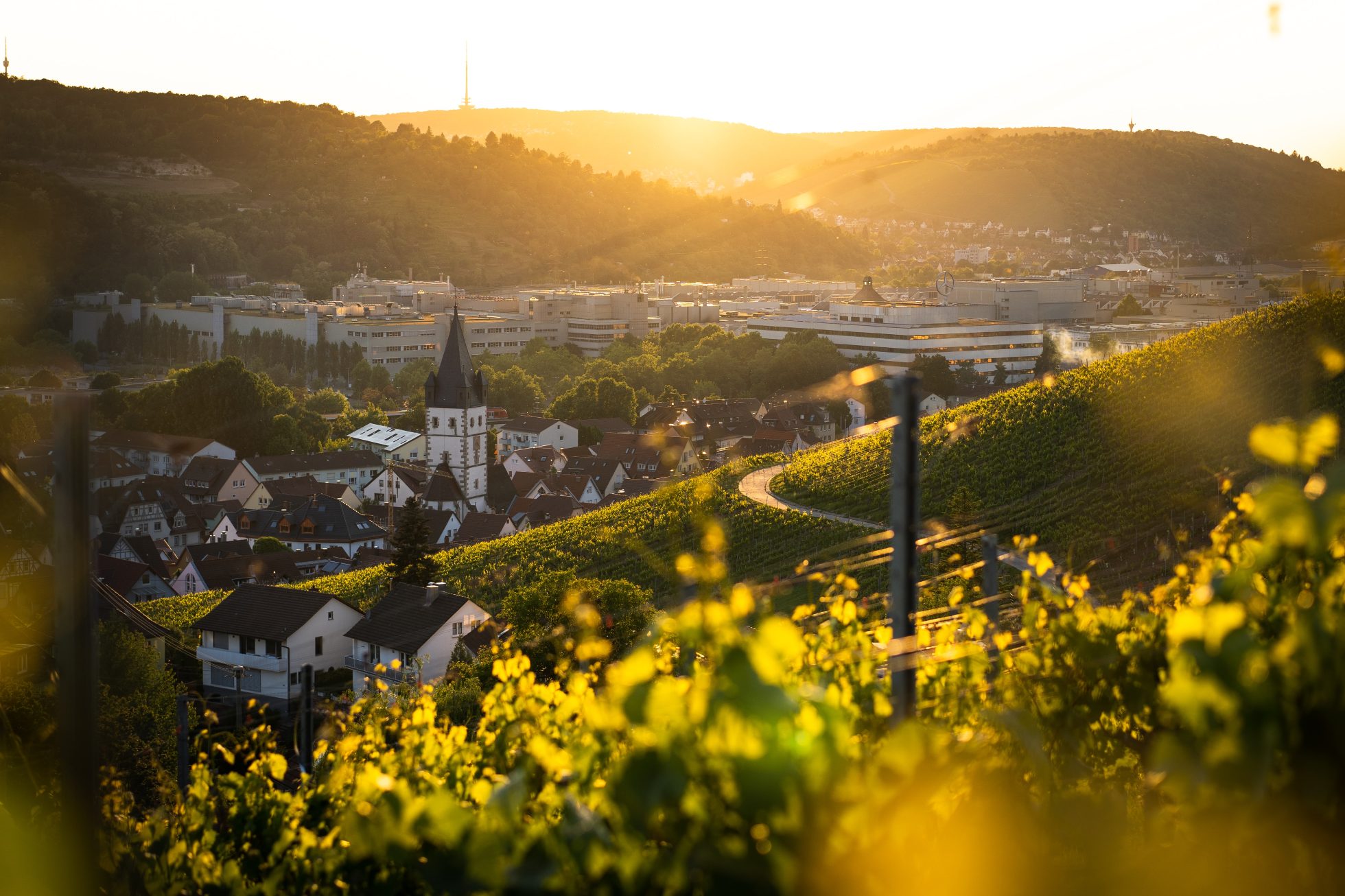 Okolice Stutgartu - widok na miasteczko Esslingen