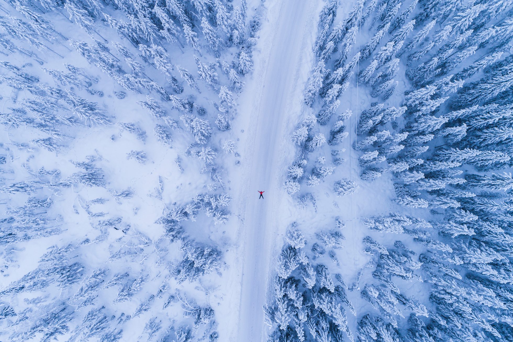 Osoba na nartach zjazdowych na stoku w Trysil w Norwegii.