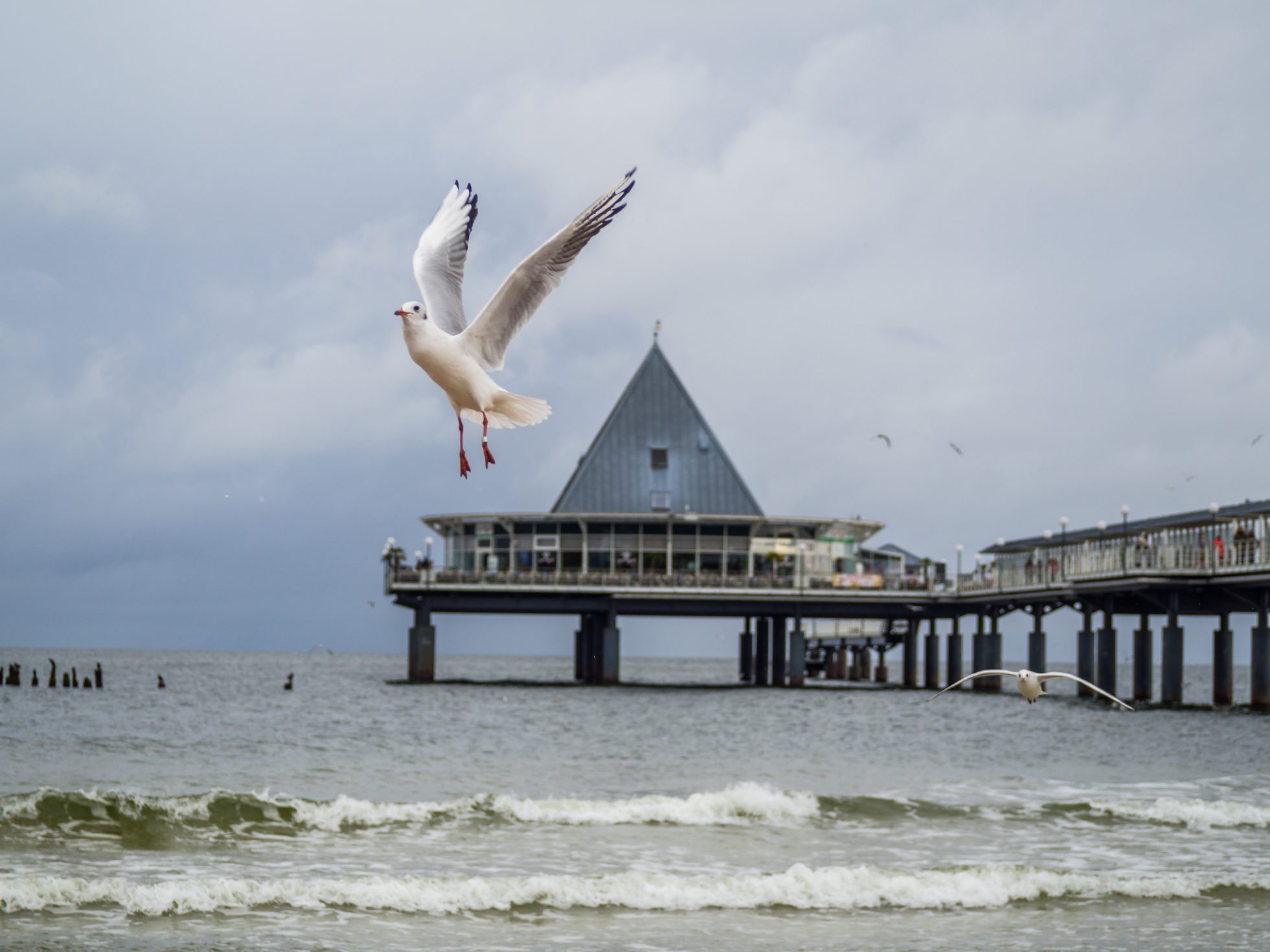 Zimowy widok Bałtyku z lodowatymi falami i białym piaskiem na plaży.