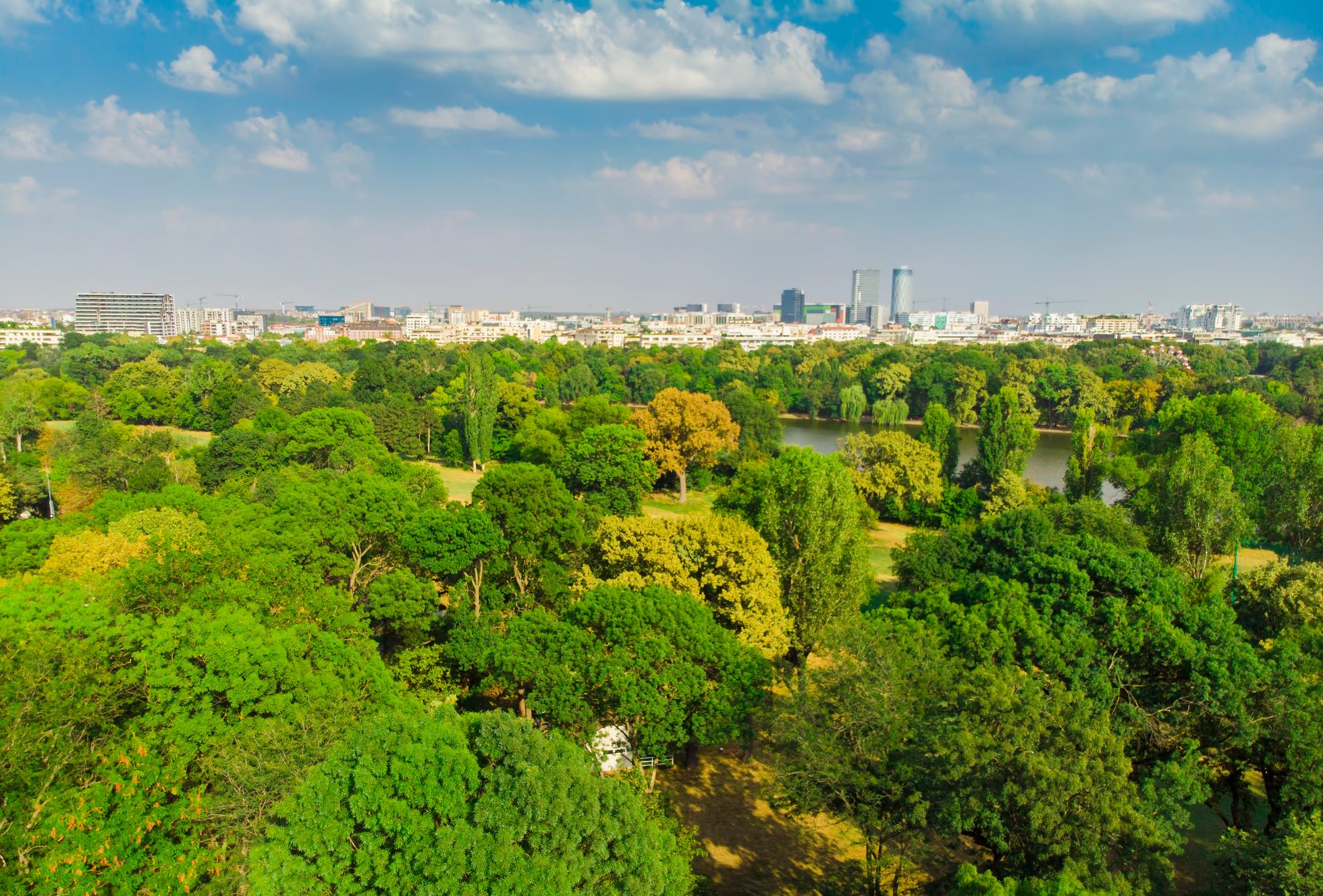 Park Herăstrău w Bukareszcie. Zielona przestrzeń z drzewami, trawnikami i jeziorem. Ludzie spacerują i odpoczywają na ławkach.