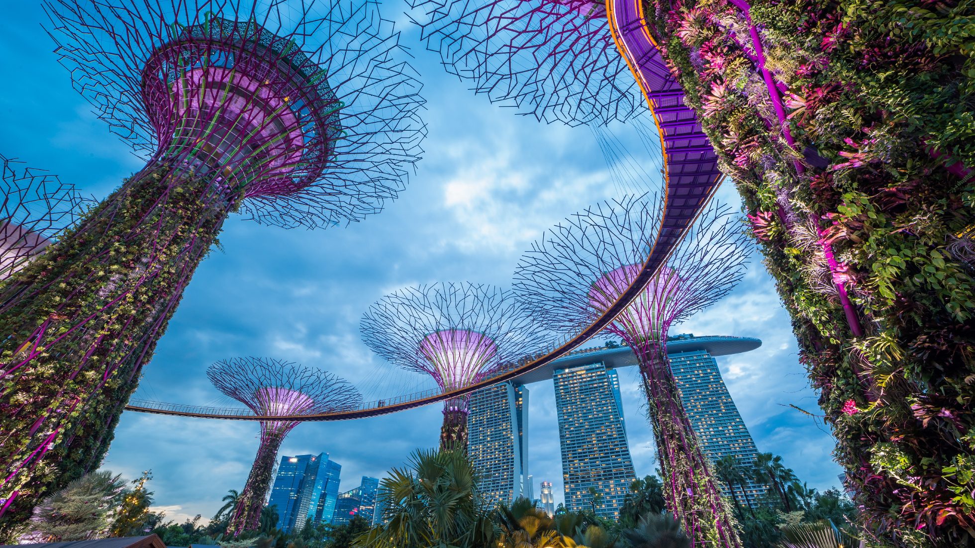 Futuristic gardens in Singapore