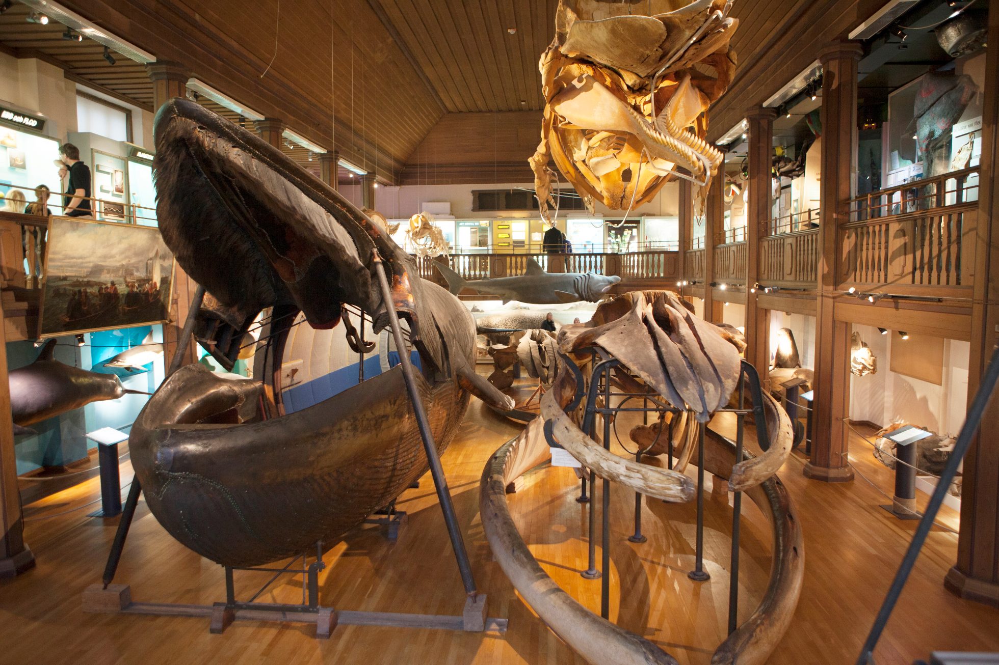 Muzeum Historii Naturalnej Szwecji w Göteborgu