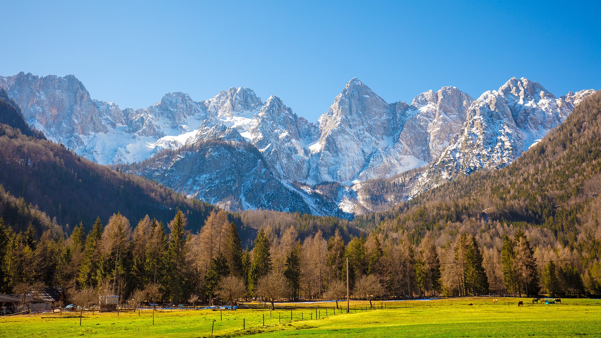 Atrakcje Słowenii Park Narodowy Triglav
