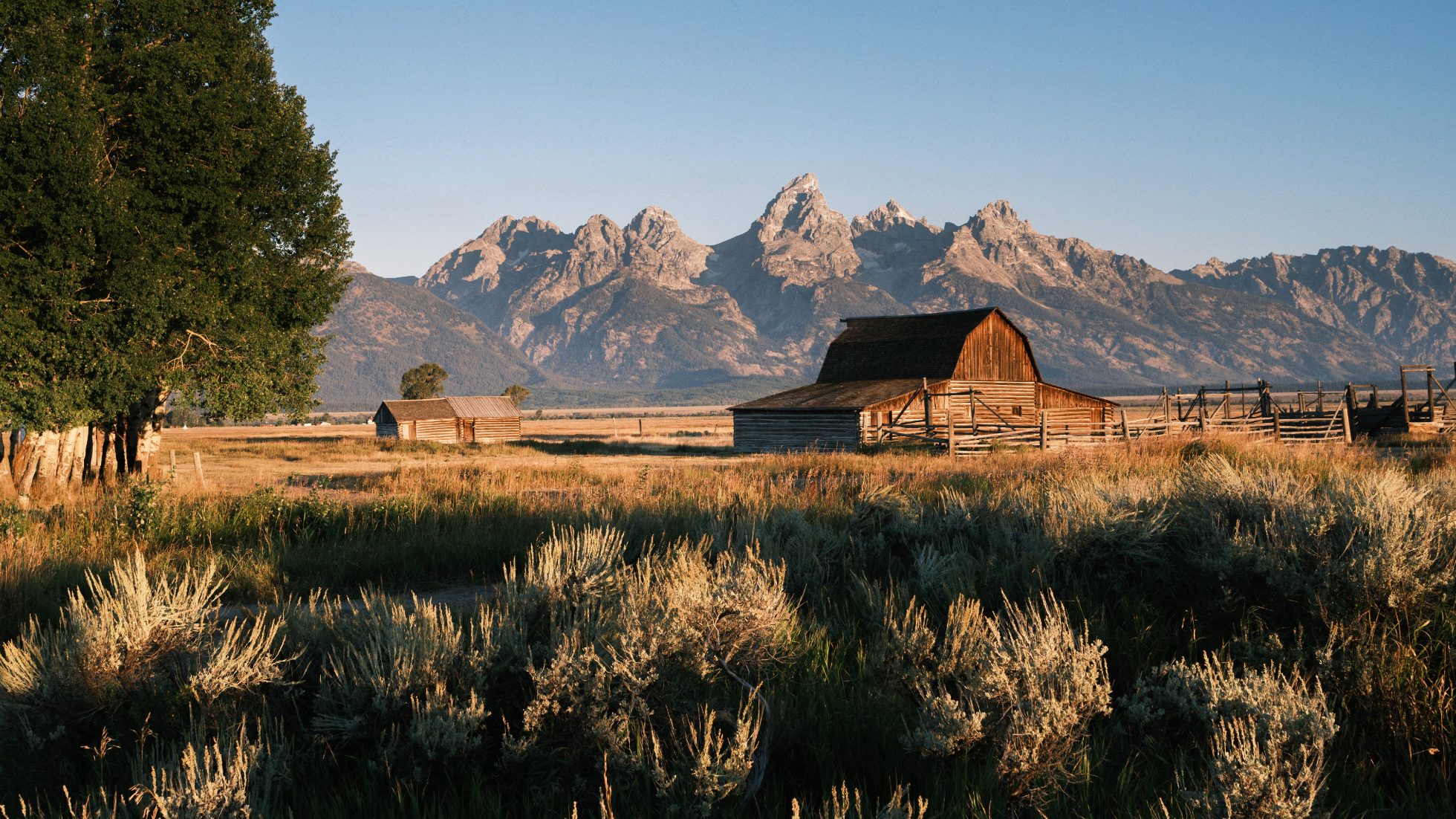 Widok na Grand Teton w USA