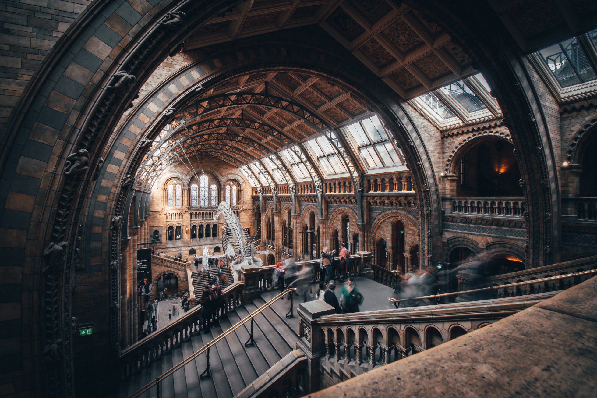Muzeum Historii Naturalnej w Londynie