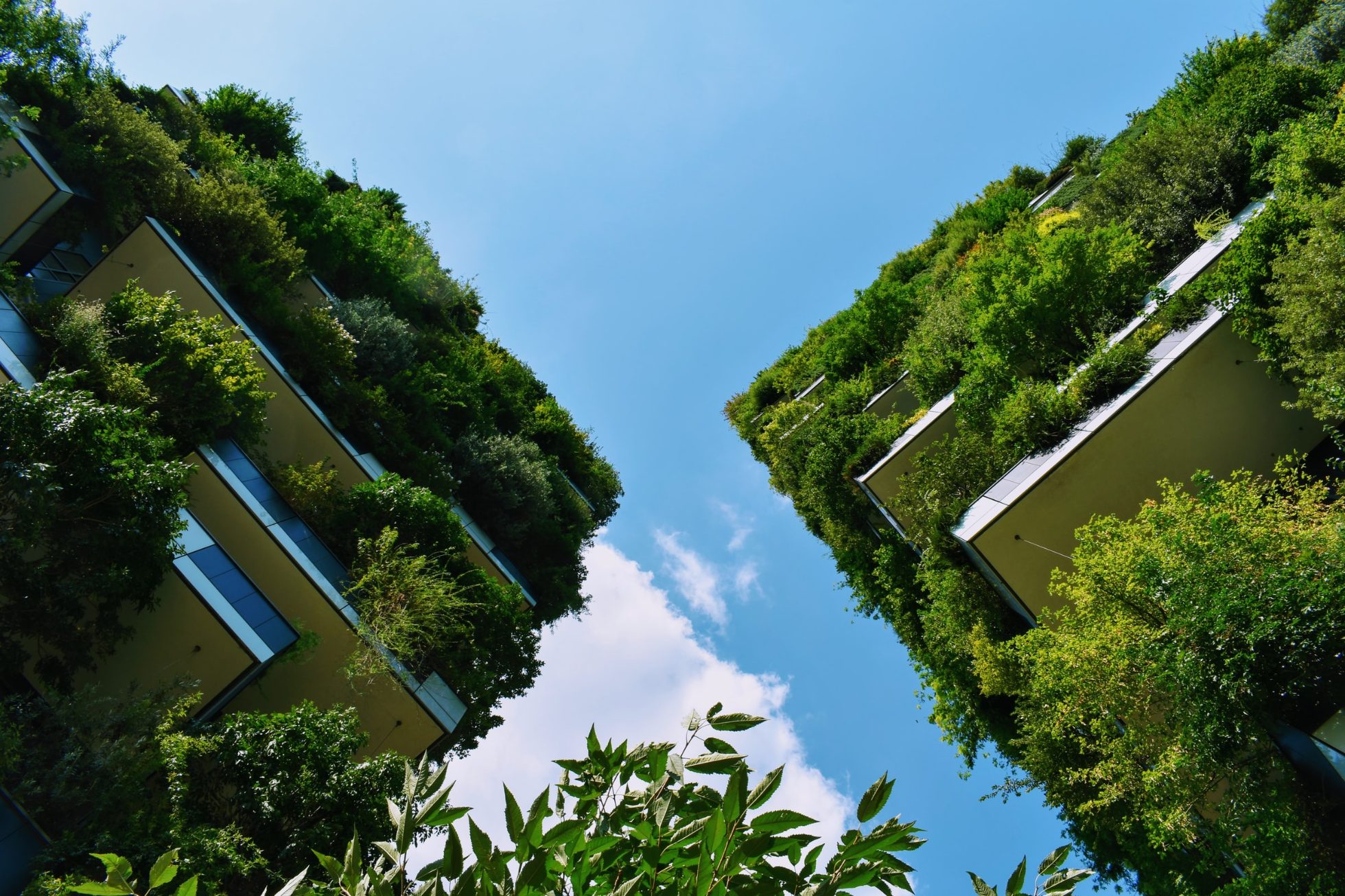 Dzielnica Bosco Verticale w Mediolanie to nowoczesne oblicze miasta, atrakcje Mediolanu