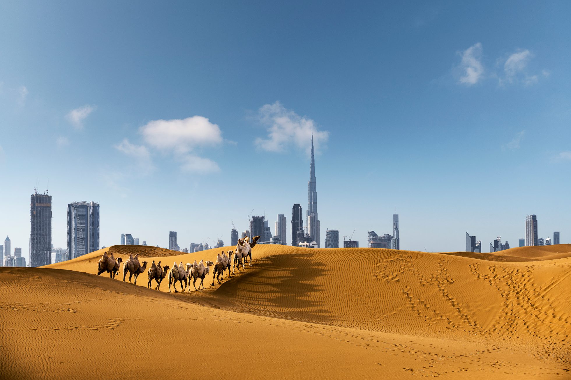 I turisti visitano il deserto sui cammelli