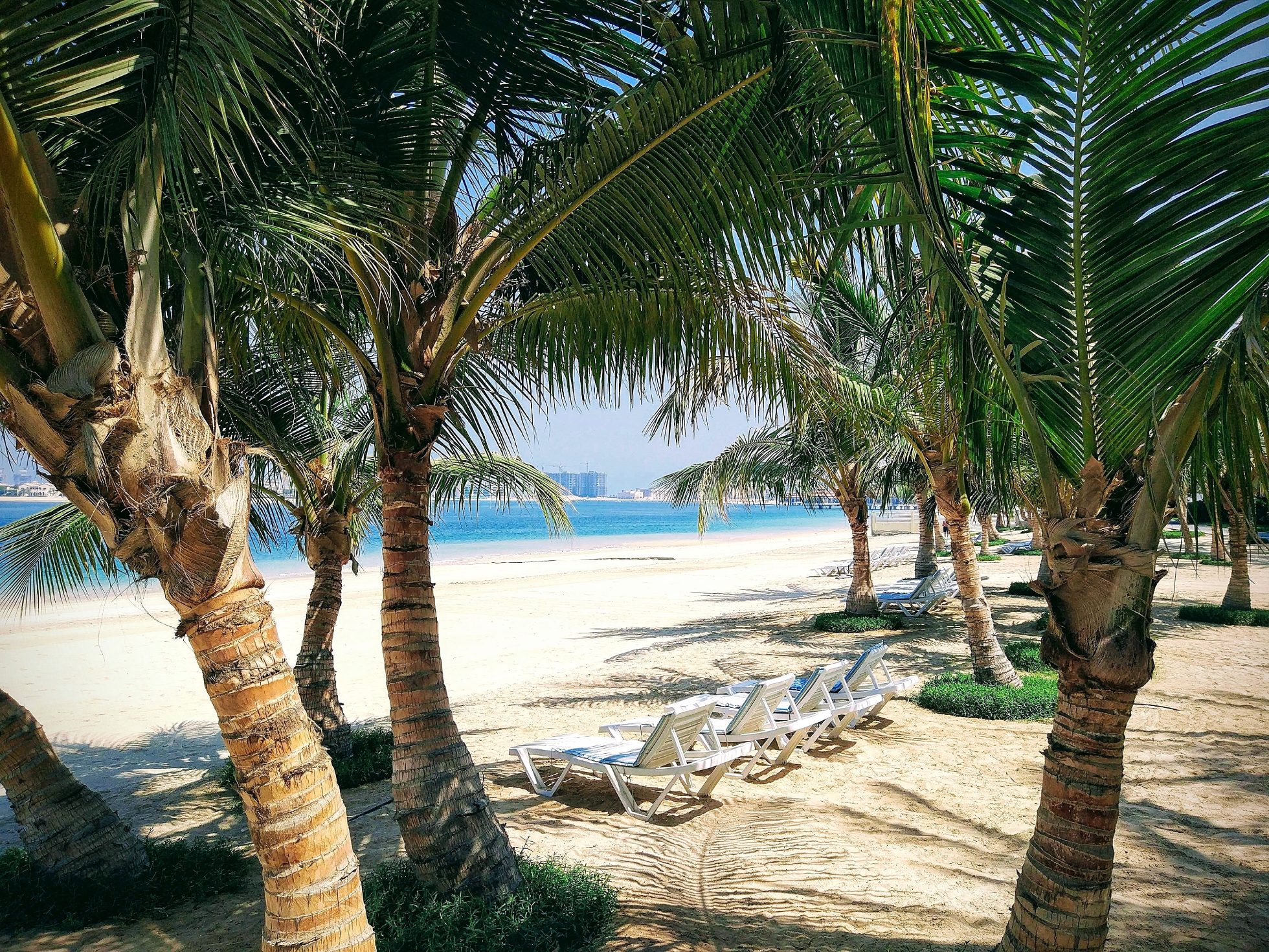 Atrakcje Dubaju - najpiękniejsze plaże. gdzie na wakacje zimą