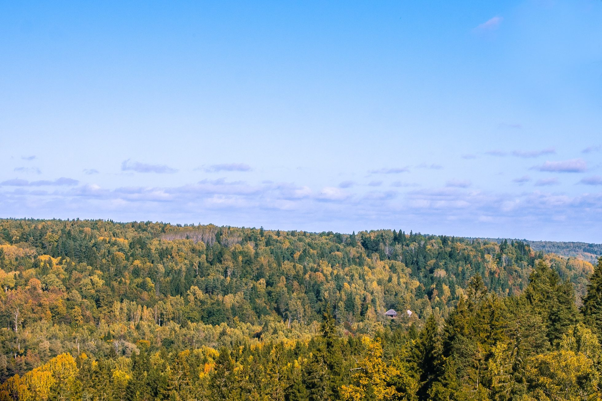 Panorama Parku Narodowego Gauja na Łotwie