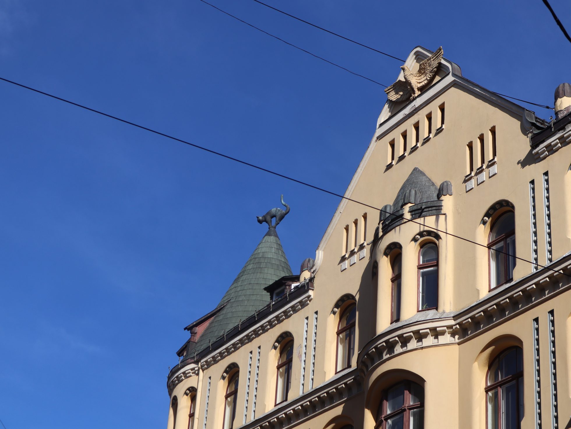 Widok na Dom Kotów