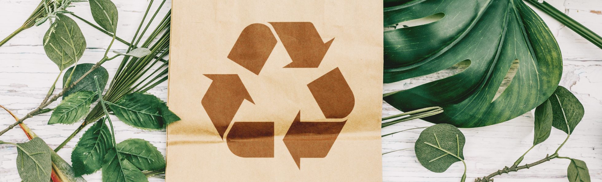 Recycling Days at LOT