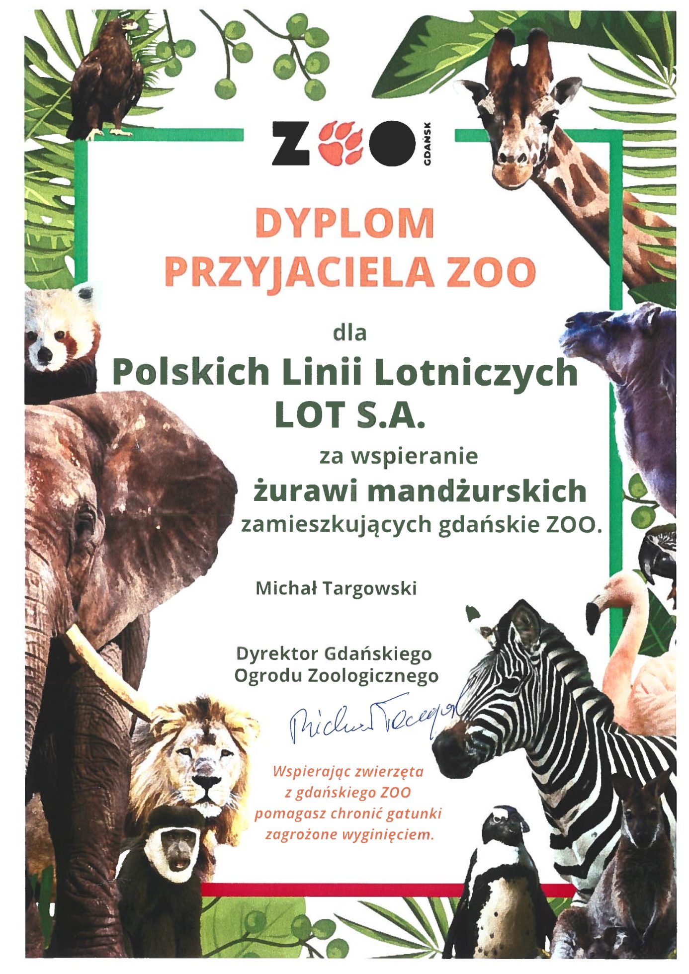 dyplom przyjaciela ZOO