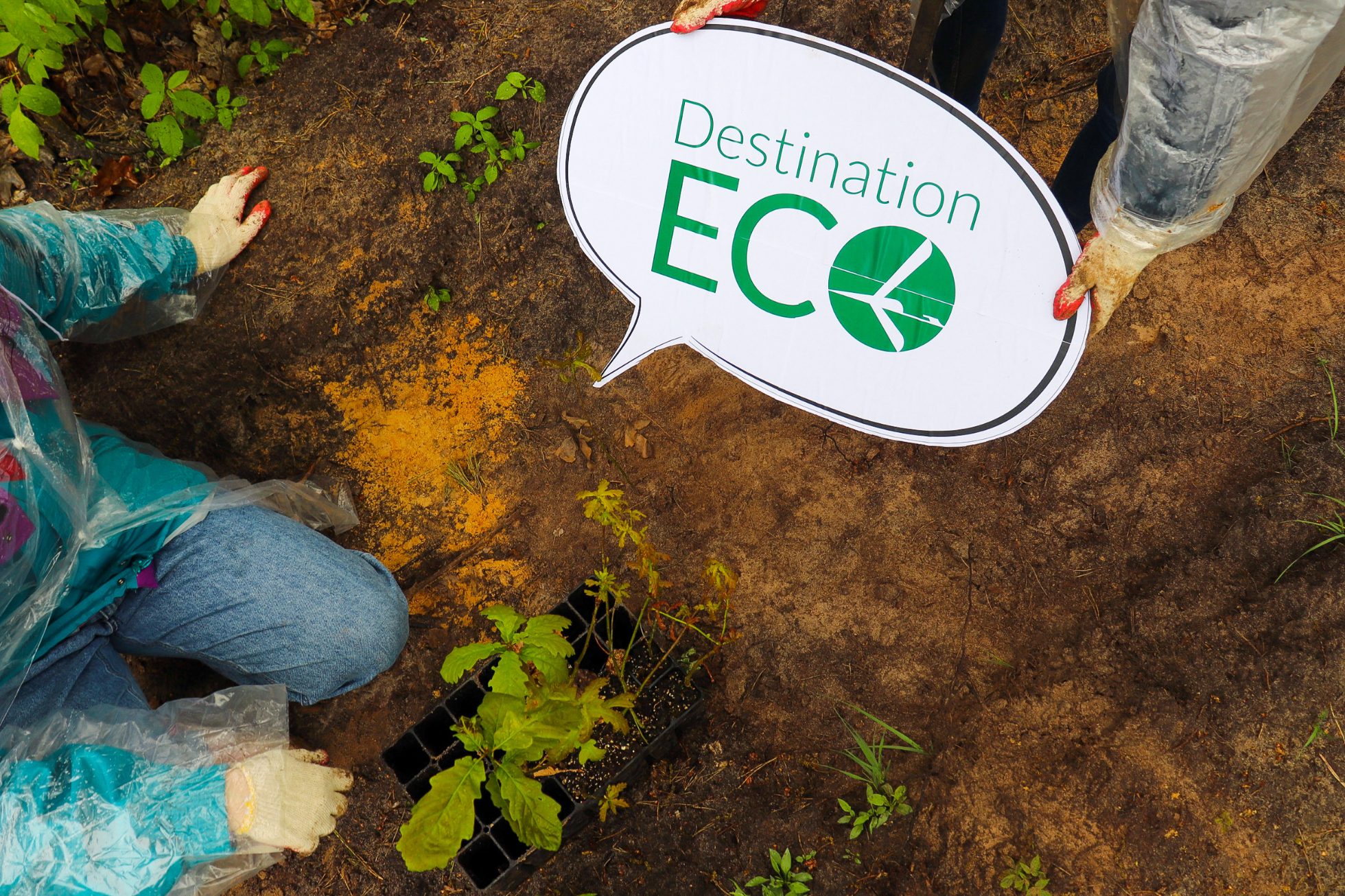 Planting trees as part of LOT action for the environment