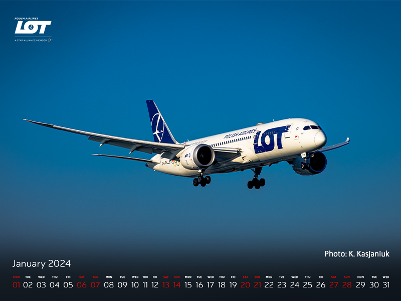 Boeing 787 Dreamliner soaring on a sunny day