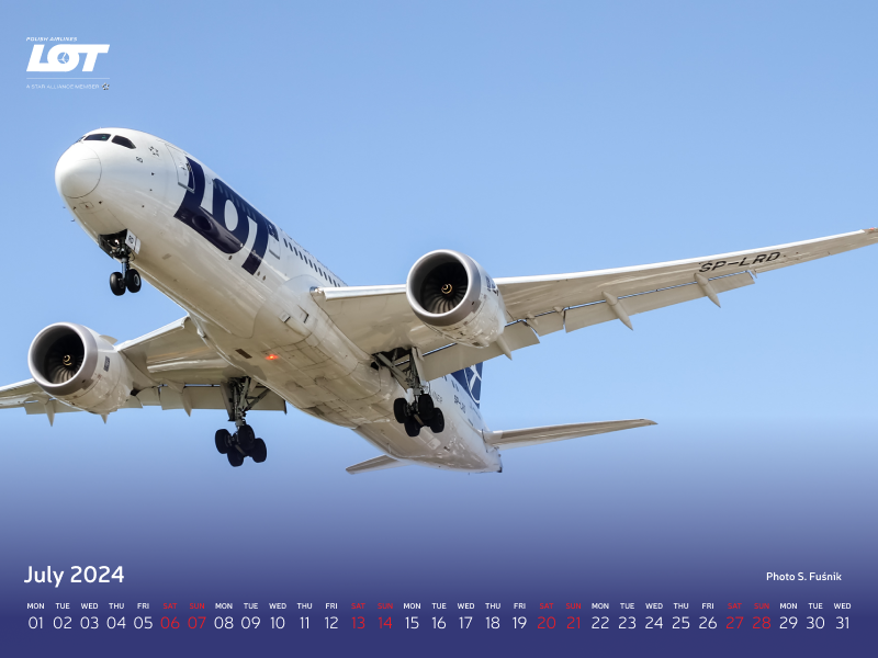 Passenger plane of LOT Polish Airlines against a clear sky.