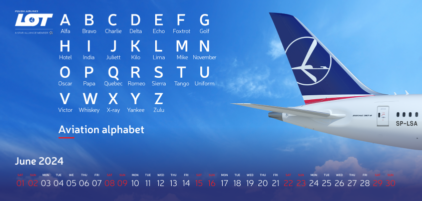 Passenger plane of LOT Polish Airlines against the sky.