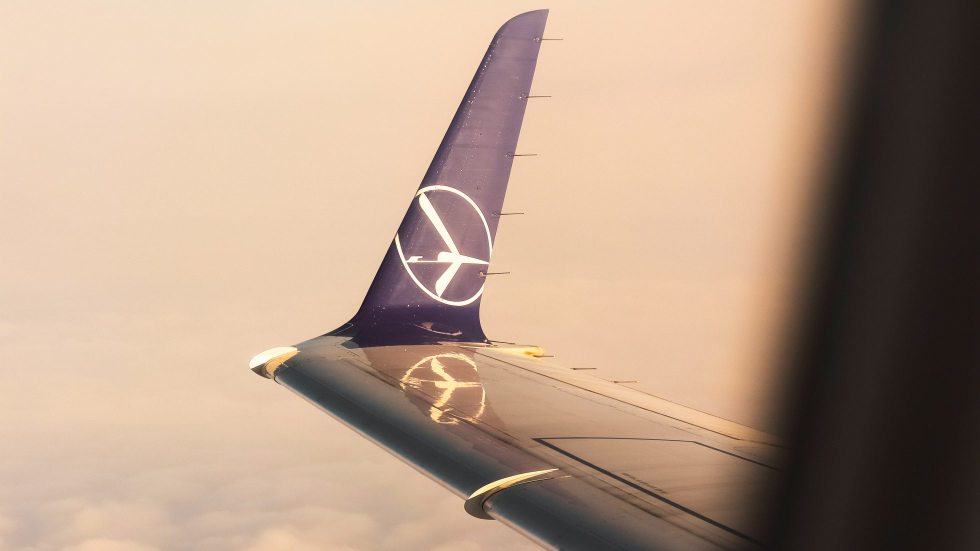 Skrzydło samolotu Embraer 175 z logiem żurawia podczas lotu ponad chmurami
