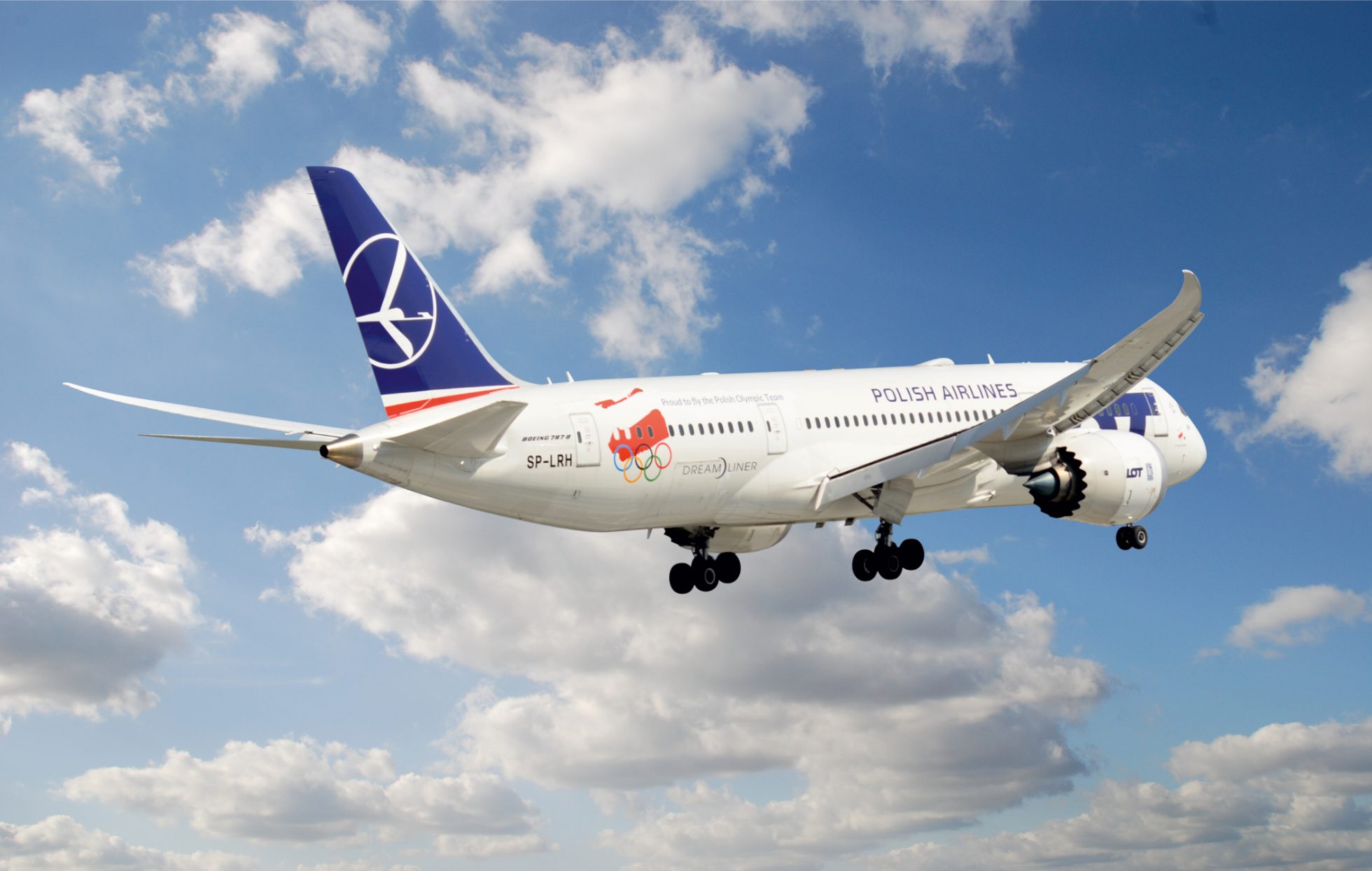 Boeing 787 na tle nieba