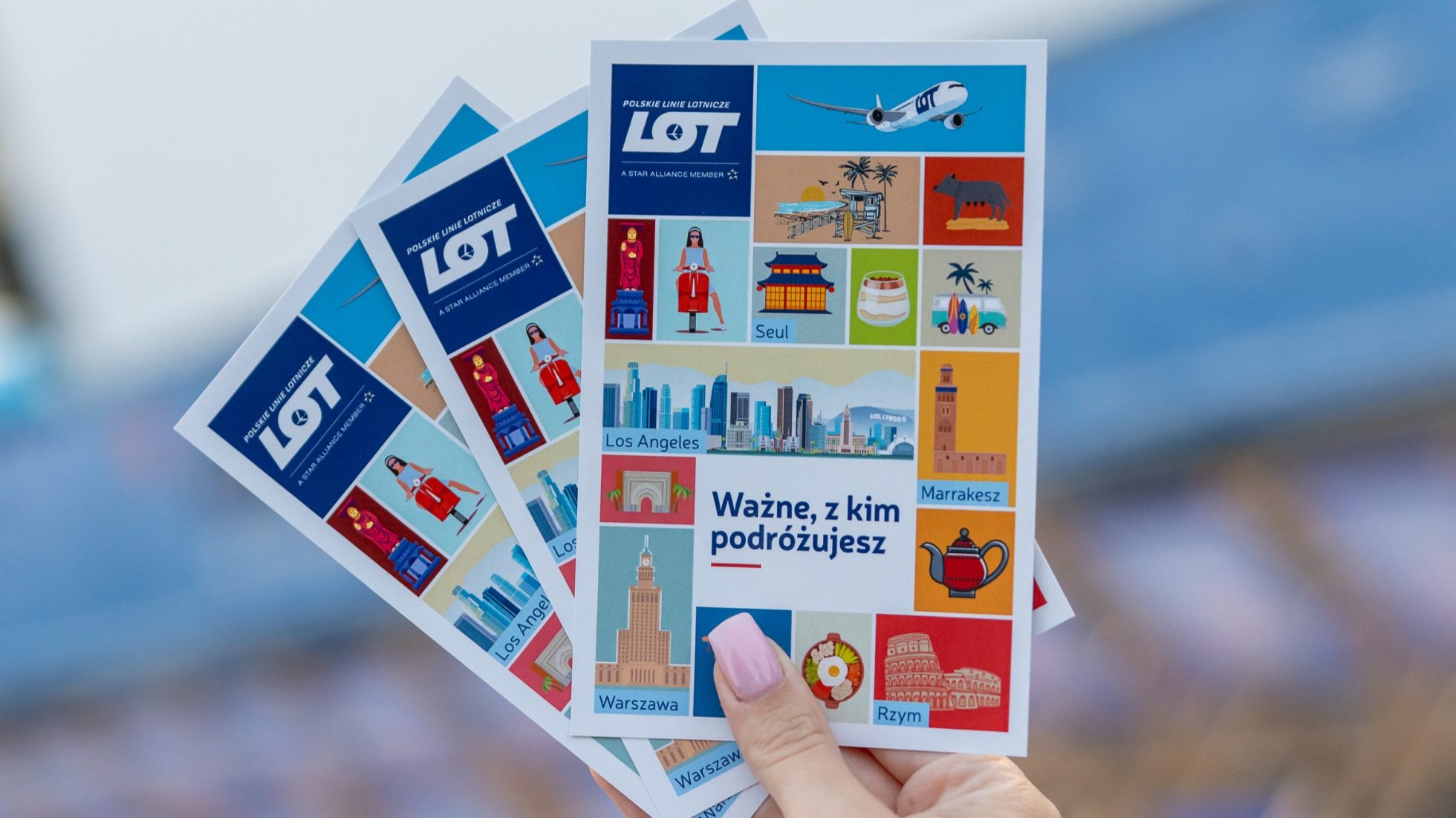 PLL LOT sticker set held in hand