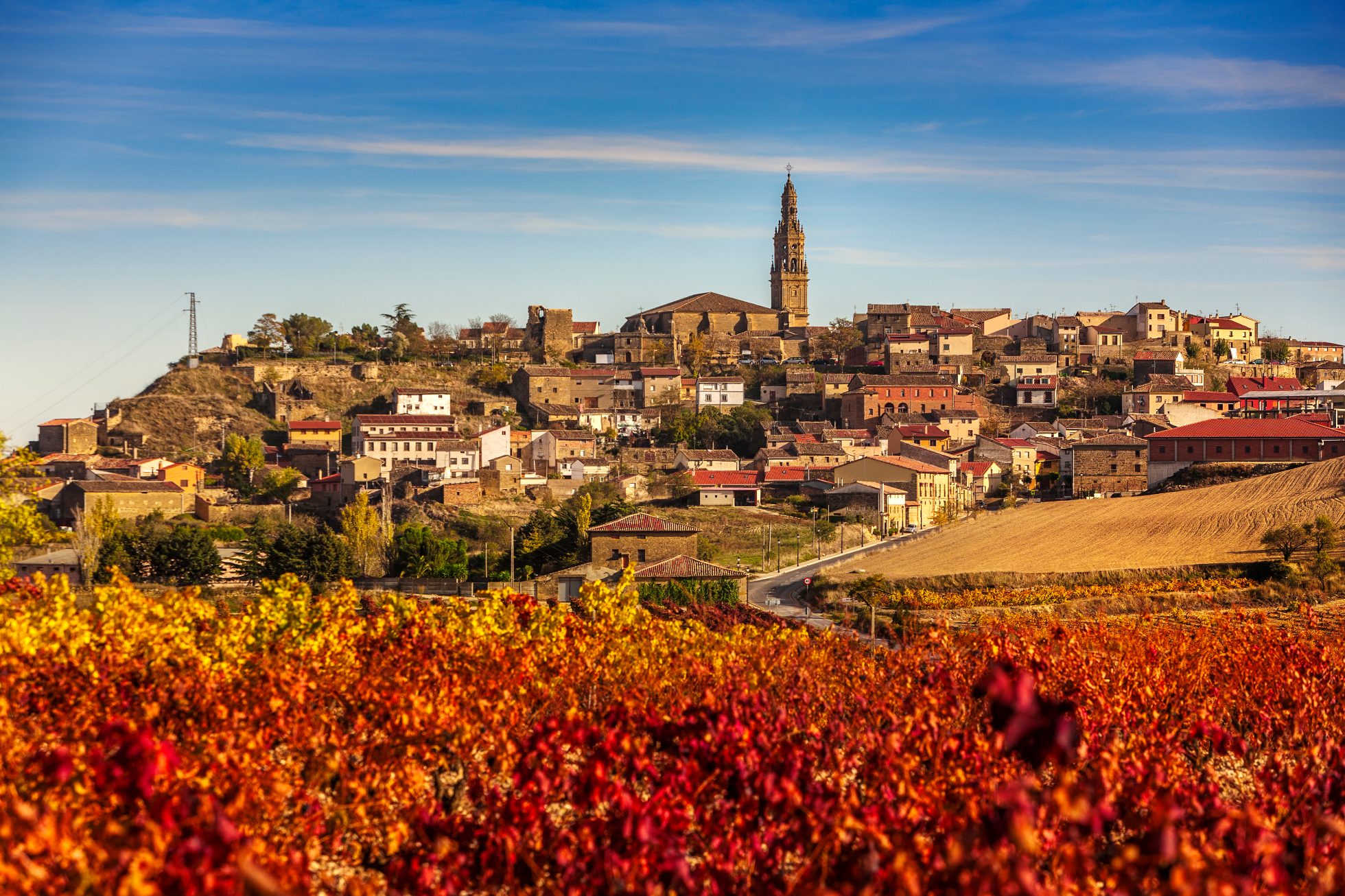 Winnice jesienią w Briones, La Rioja, Hiszpania, wyjazd kawalerski